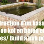Construire un bassin en béton et briques pour poisson