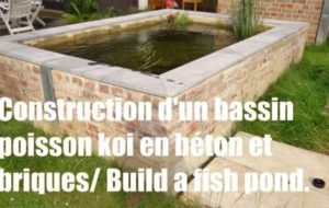 Construire un bassin en béton et briques pour poisson