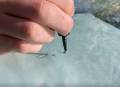 Reparation pare-brice impact cailloux kit pare brise ATG Glas reparature fissures (5)