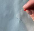 Reparation pare-brice impact cailloux kit pare brise ATG Glas reparature fissures (16)